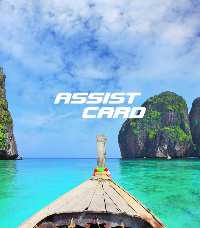 Assist Card